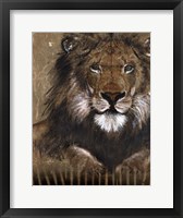 Brown Lion Fine Art Print