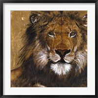Lion on Gold Fine Art Print