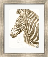 Muted Zebra Fine Art Print