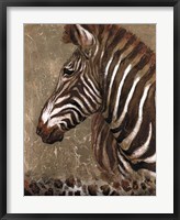 Brown Zebra Fine Art Print