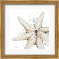 Water Starfish Fine Art Print