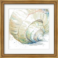 Water Conch Fine Art Print