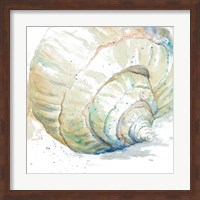Water Conch Fine Art Print