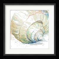 Water Conch Framed Print