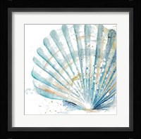 Water Shell Framed Print
