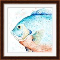 Water Fish Fine Art Print