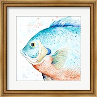 Water Fish Fine Art Print