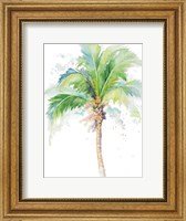 Watercolor Coconut Palm Fine Art Print