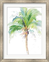 Watercolor Coconut Palm Fine Art Print