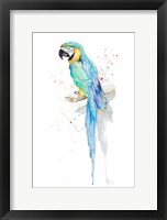 Watercolor Parrot Fine Art Print
