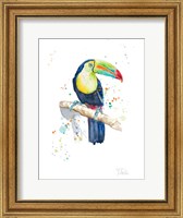 Watercolor Toucan Fine Art Print