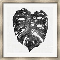 Dark Leaf Palm II Fine Art Print