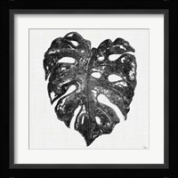Dark Leaf Palm II Framed Print