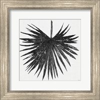 Dark Leaf Palm I Fine Art Print