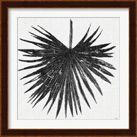 Dark Leaf Palm I Fine Art Print