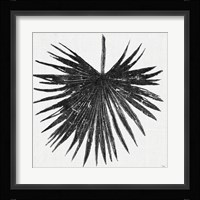 Dark Leaf Palm I Framed Print
