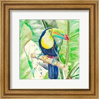 Colorful Toucan Fine Art Print