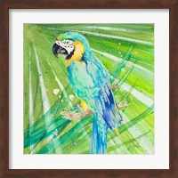 Colorful Parrot Fine Art Print