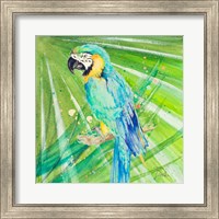 Colorful Parrot Fine Art Print