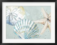 Beach Shells Fine Art Print