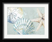 Beach Shells Fine Art Print