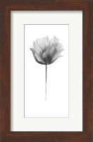 Flower in Gray Panel I Fine Art Print
