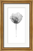 Flower in Gray Panel II Fine Art Print
