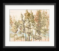 Bosque Verde Brisa II Framed Print