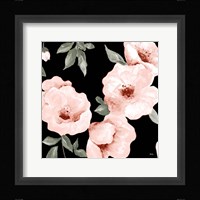 Dusty Rose on Black II Framed Print
