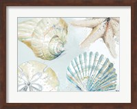 Shell Collectors Fine Art Print
