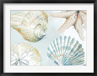 Shell Collectors Fine Art Print