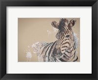Sandstone Zebra Fine Art Print
