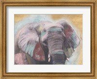 Elephant Close Up Fine Art Print
