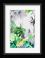 Teal Palm Selva II Framed Print