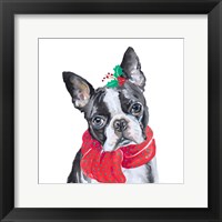 Holiday Dog II Framed Print