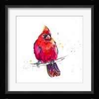 Christmas Cardinal III Fine Art Print