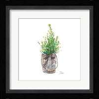 Christmas Fir I Fine Art Print