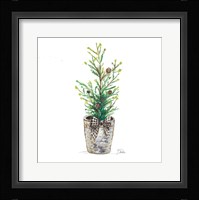 Christmas Fir II Fine Art Print