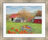 Autumn's Colors Fine Art Print