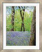 Blue Bells Fine Art Print