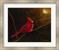 Cardinal In The Moonlight Fine Art Print