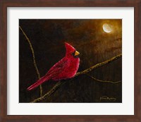 Cardinal In The Moonlight Fine Art Print