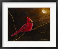 Cardinal In The Moonlight Fine Art Print