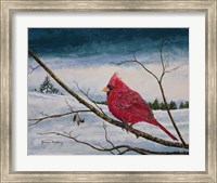 Cardinal In A Pastel Sky Fine Art Print