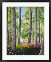 Enchanted Forest Fine Art Print