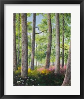 Enchanted Forest Fine Art Print