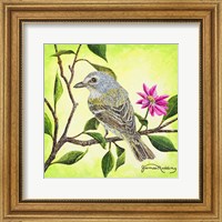 Tropical Bird Fine Art Print