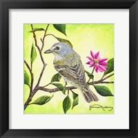 Tropical Bird Fine Art Print