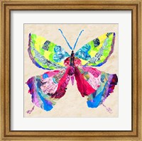 Brilliant Butterfly I Fine Art Print