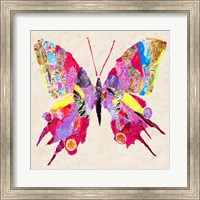 Brilliant Butterfly II Fine Art Print
